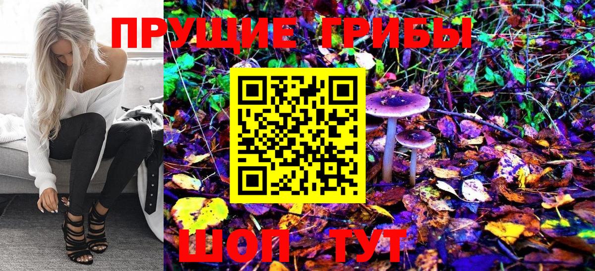 Сланцы  Псилоцибиновые грибы Magic Shrooms  Вход с VPN 
